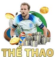 Logo Momo